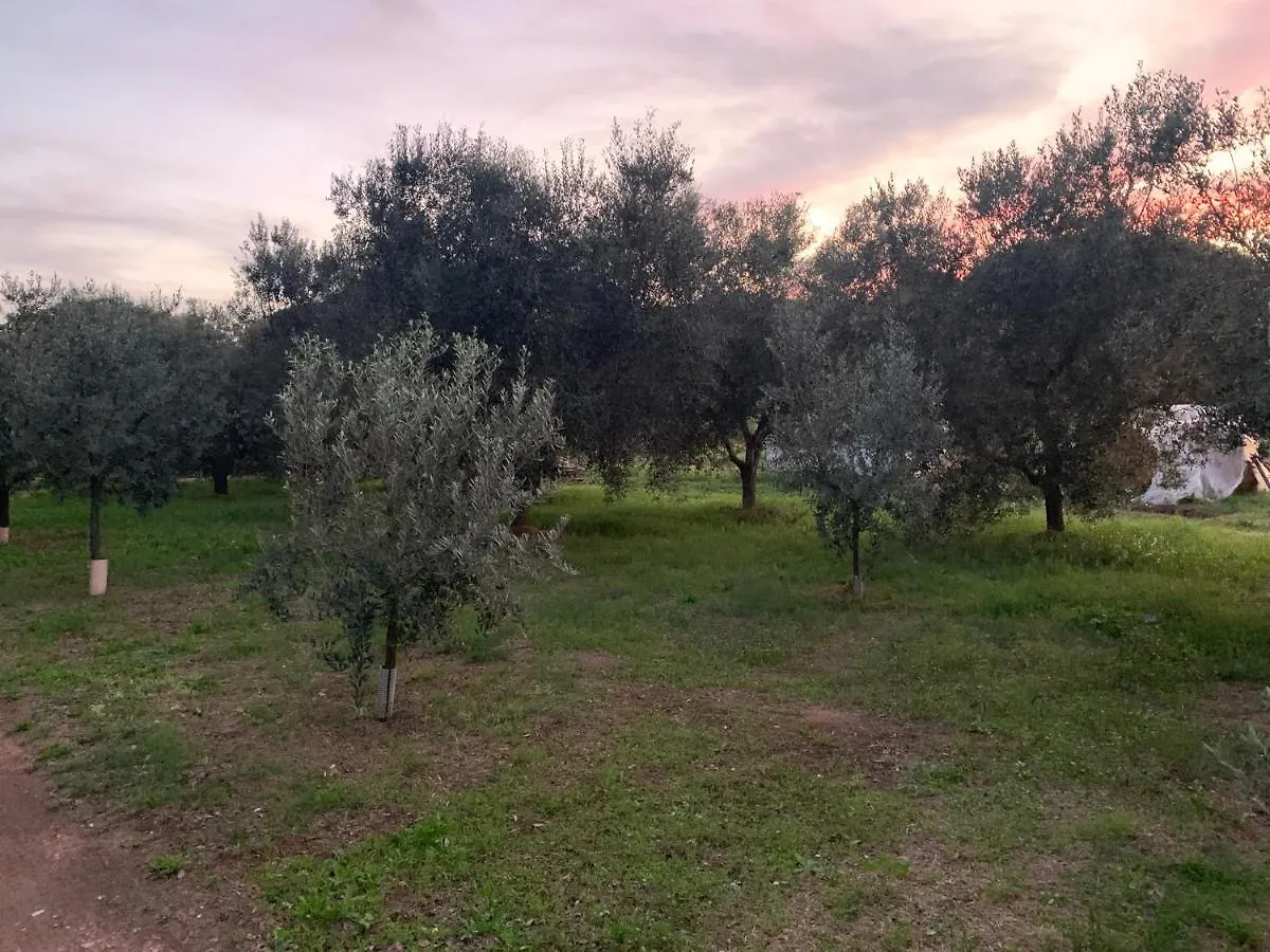 Affittacamere Camera graziosa Albinia