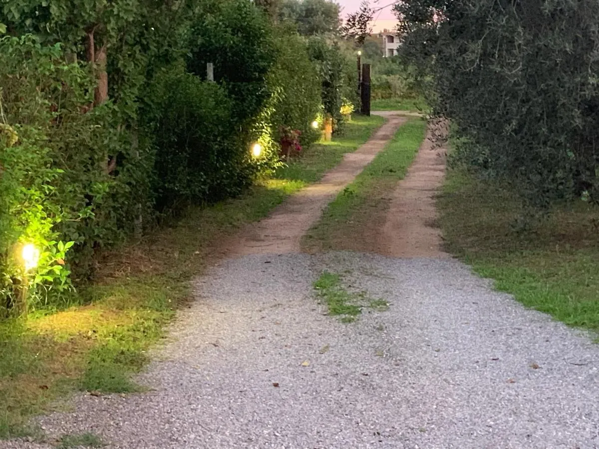 Affittacamere Camera graziosa Albinia