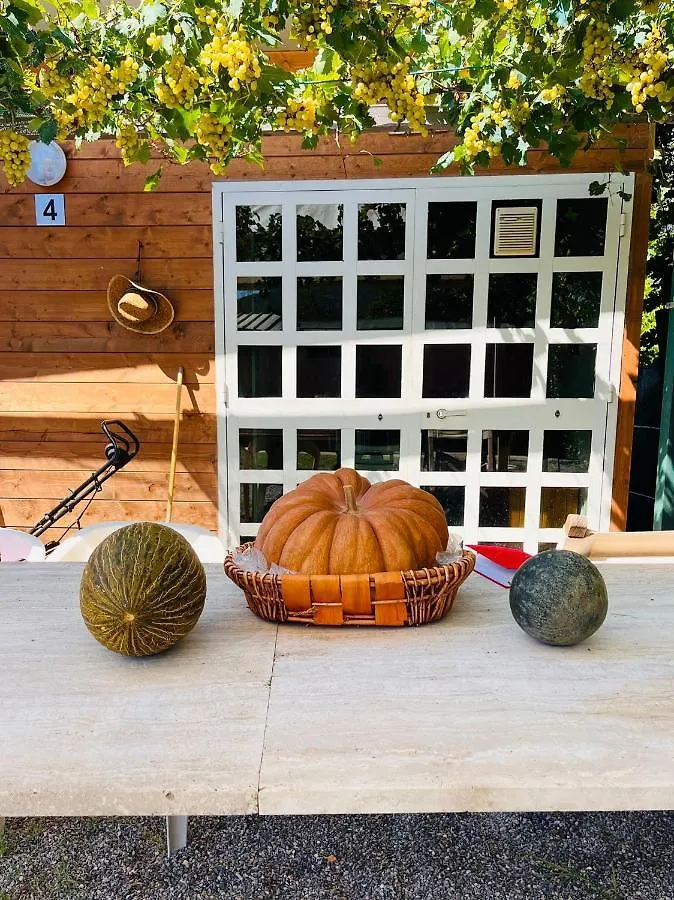 Camera Graziosa Albinia Maison d'hôtes